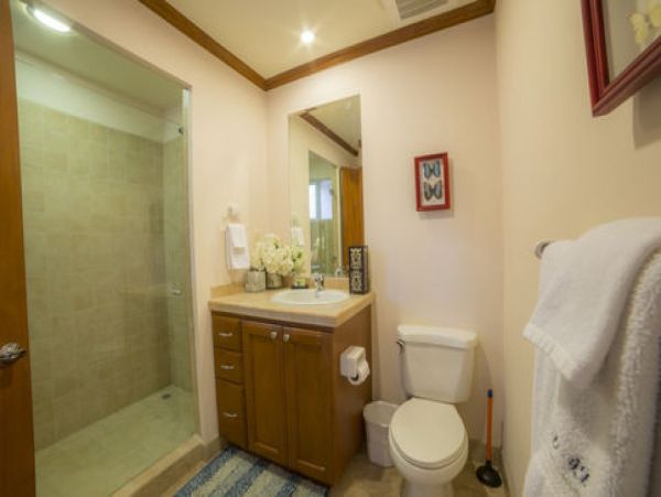 Tamarindo Home 1005818