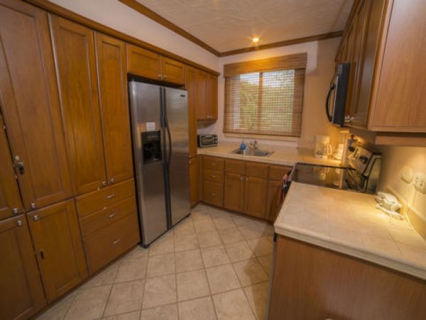 Tamarindo Home 1005818