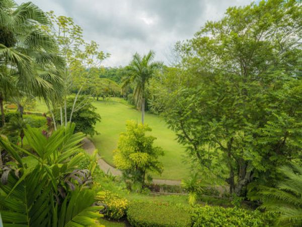 Tamarindo Home 1005818