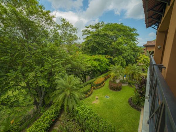 Tamarindo Home 1005818