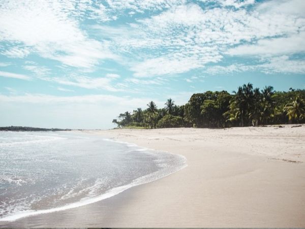 Tamarindo Home 1005820
