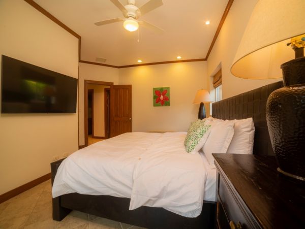 Tamarindo Home 1005822
