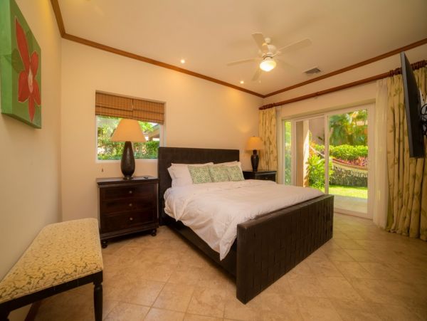 Tamarindo Home 1005822