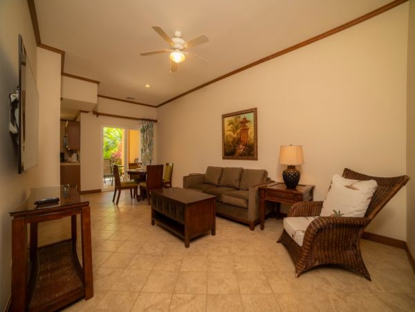 Tamarindo Home 1005822