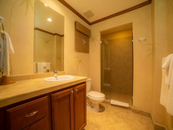 Tamarindo Home 1005822