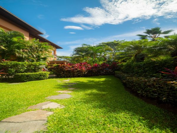 Tamarindo Home 1005822