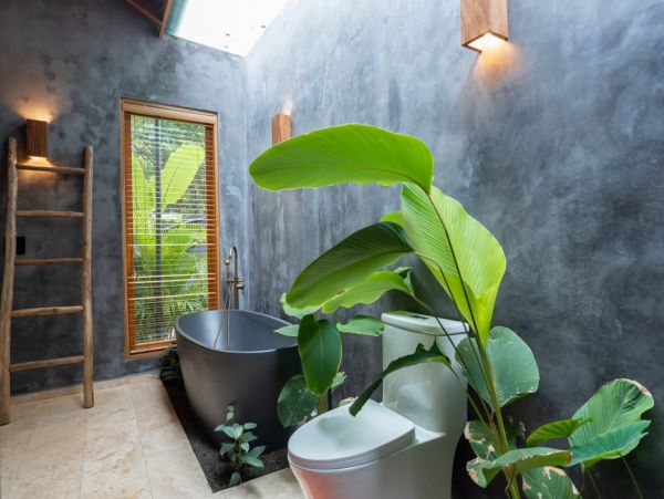 Tamarindo Home 1005825