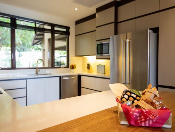 Tamarindo Home 1005827