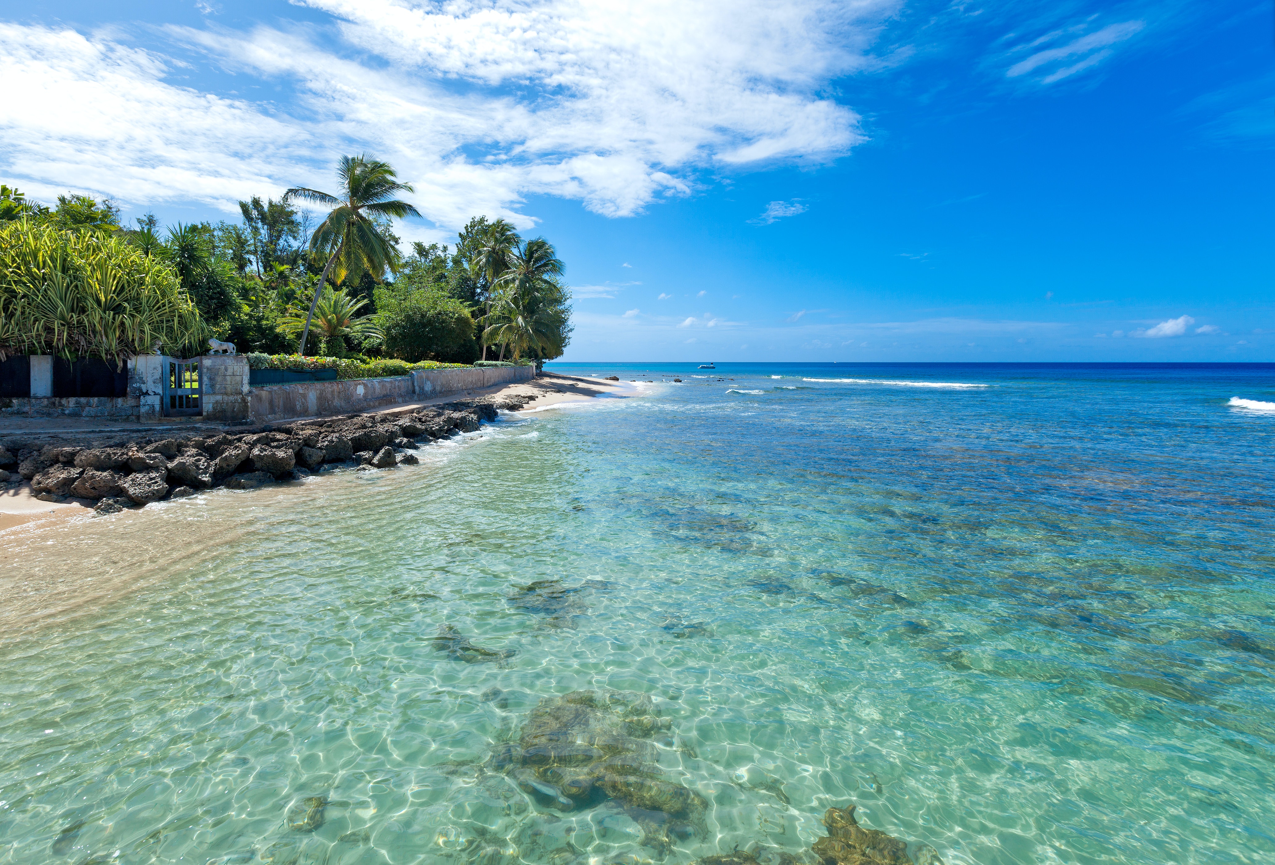 Barbados Home 1005891