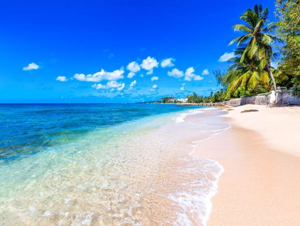 Barbados Home 1005896