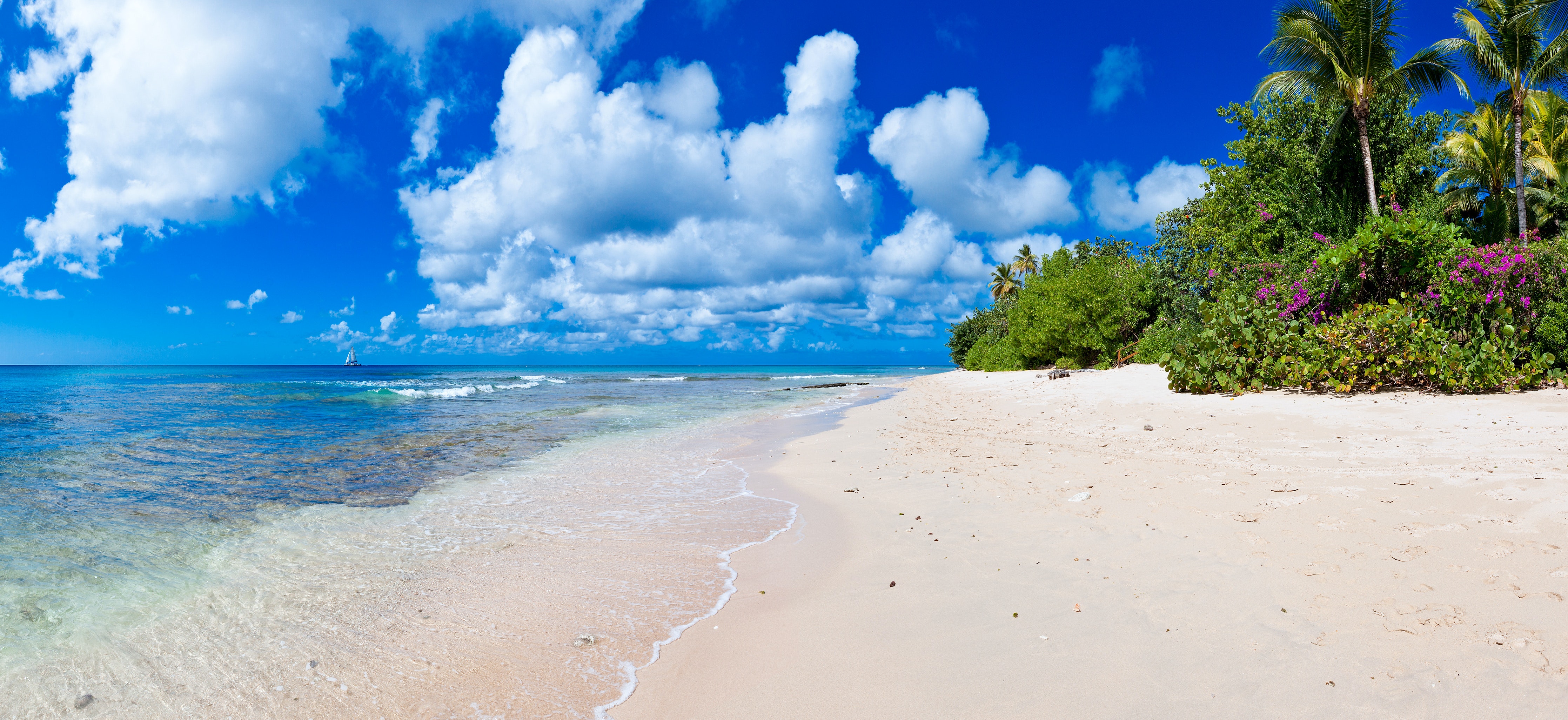 Barbados Home 1005900