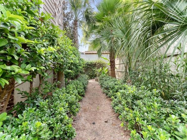 Charleston Home 1005972