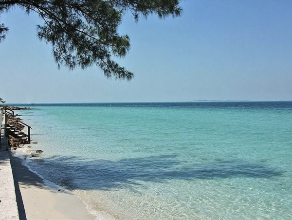 Luxury Anna Maria Island 5 Bedroom Home Main House Plus Guest Cottage Estate Home On Water