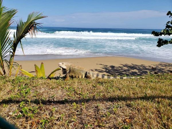 Steps to Beach Puerto Rico Vacation Home Three Bedrooms