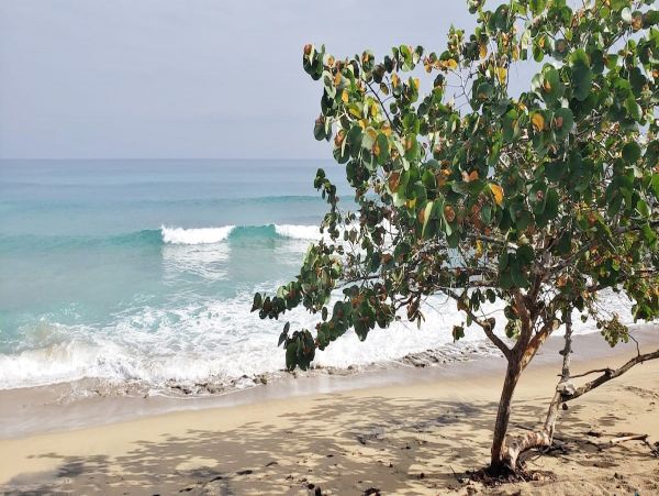 Steps to Beach Puerto Rico Vacation Home Three Bedrooms