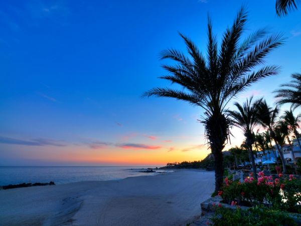 Los Cabos Home 1006149