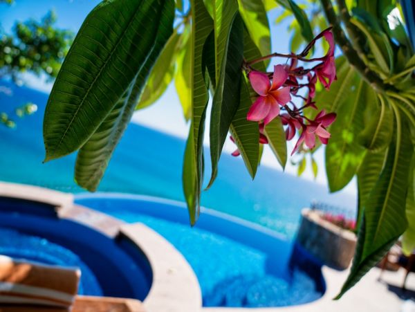 Los Cabos Home 1006164