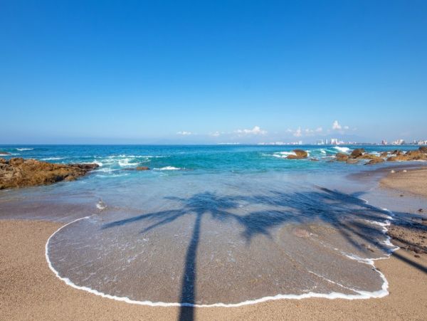 Puerto Vallarta Punta Mita Home 1006185