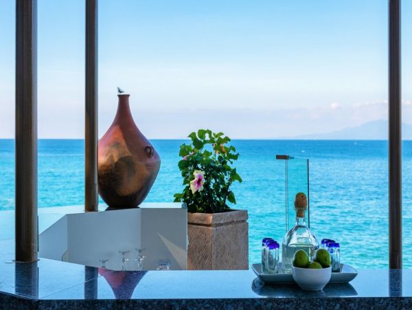 Puerto Vallarta Punta Mita Home 1006195