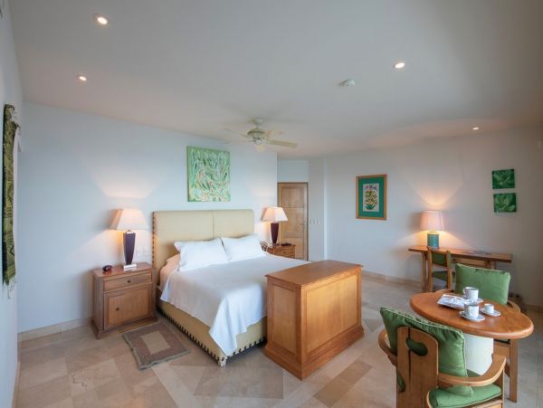 Puerto Vallarta Punta Mita Home 1006195