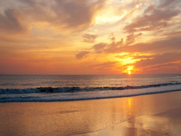 Puerto Vallarta Punta Mita Home 1006219