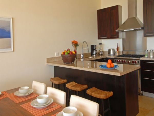 Puerto Vallarta Punta Mita Condo 1006222