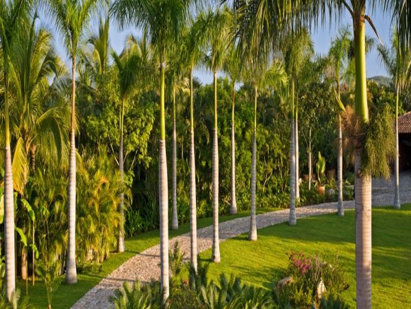 Puerto Vallarta Punta Mita Home 1006226