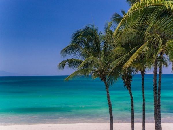 Puerto Vallarta Punta Mita Home 1006234