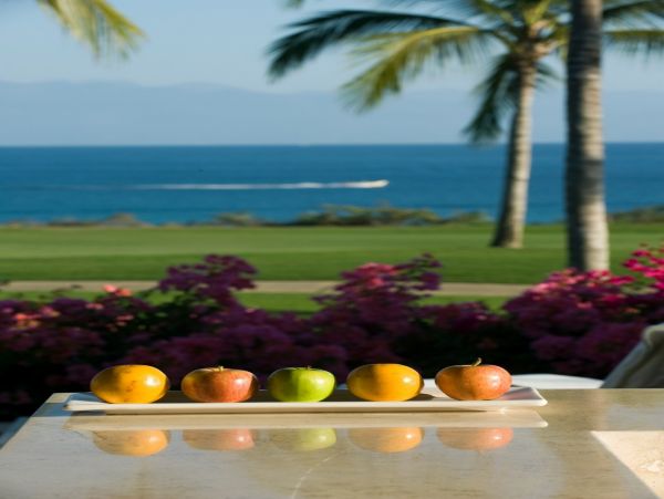 Puerto Vallarta Punta Mita Home 1006241