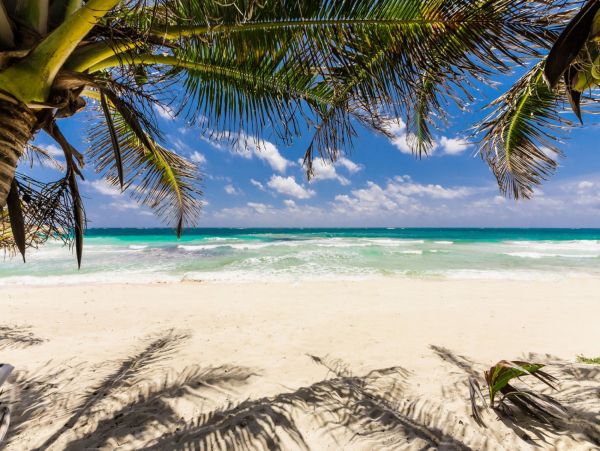 Tulum Home 1006272