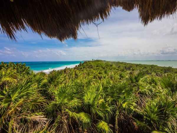 Tulum Home 1006272