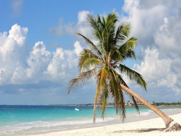Tulum Home 1006278