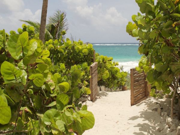 Tulum Home 1006278