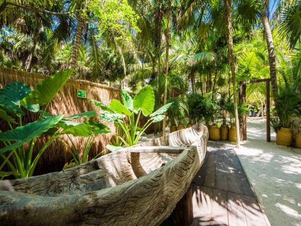 Tulum Home 1006306
