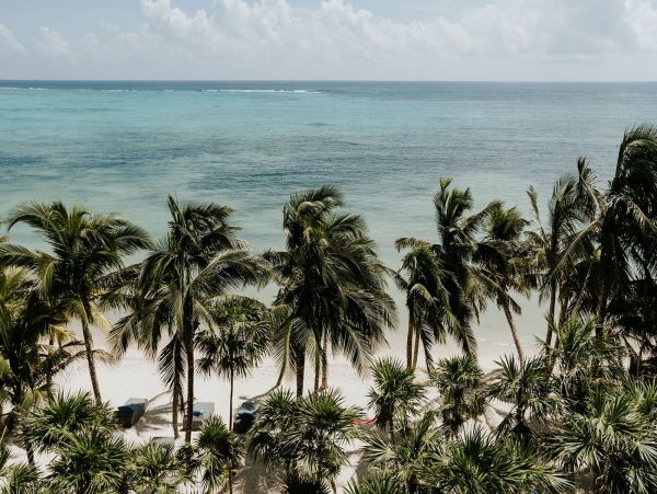 Tulum Home 1006313