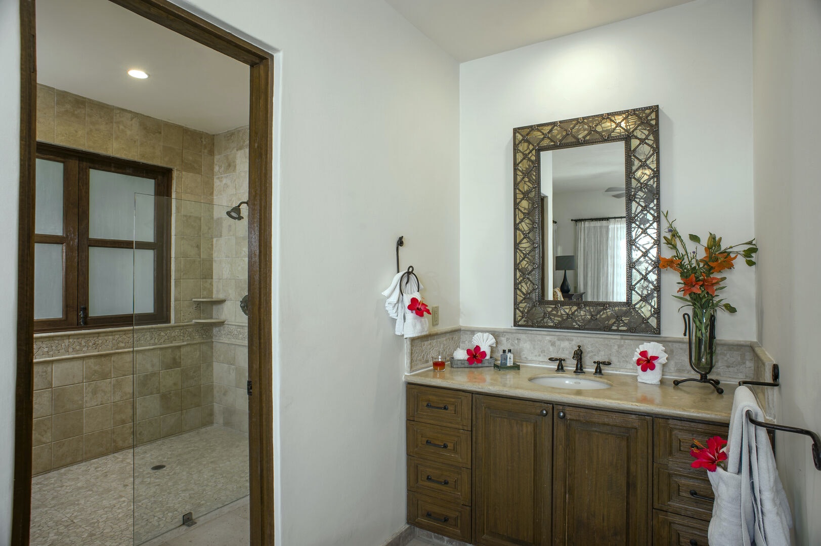 Los Cabos Home 1006339