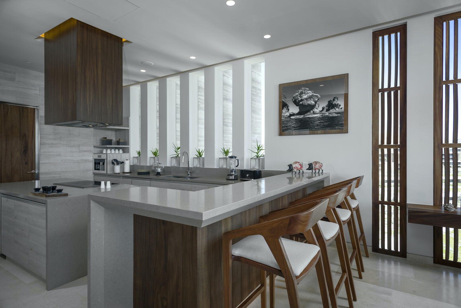 Los Cabos Home 1006341