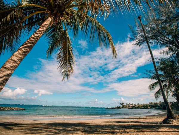 Puerto Rico Vacation Villa 3 Bedrooms Sleeps 8 Walk To Beach