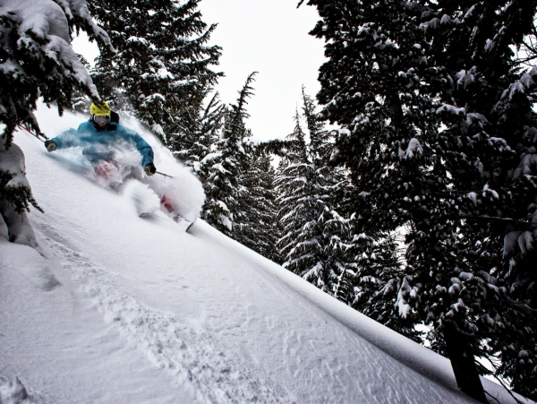 Downtown Jackson Hole Luxury Cabin