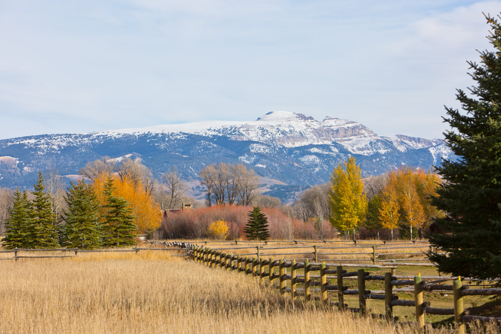 Jackson Hole Wy Home 1006363