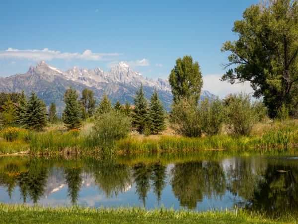 Jackson Hole Wy Home 1006365