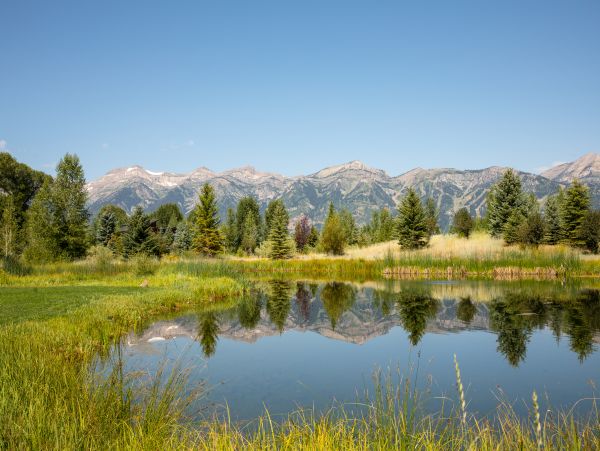 Jackson Hole Wy Home 1006365