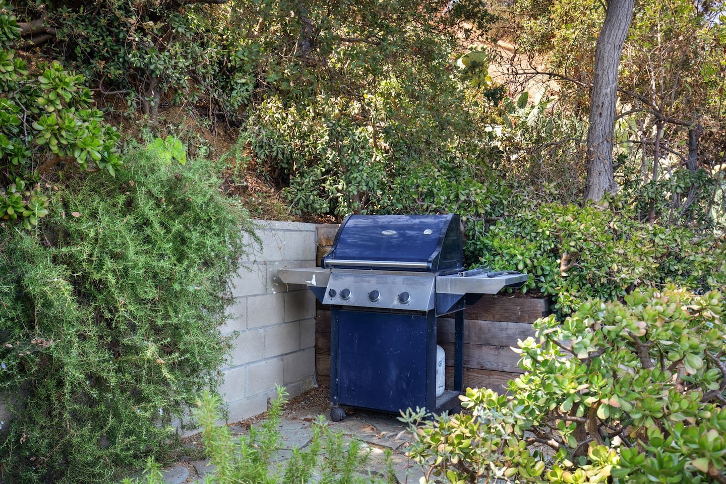 Los Angeles Home 1006369