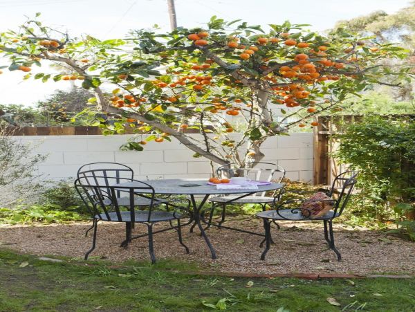 Los Angeles Home 1006370