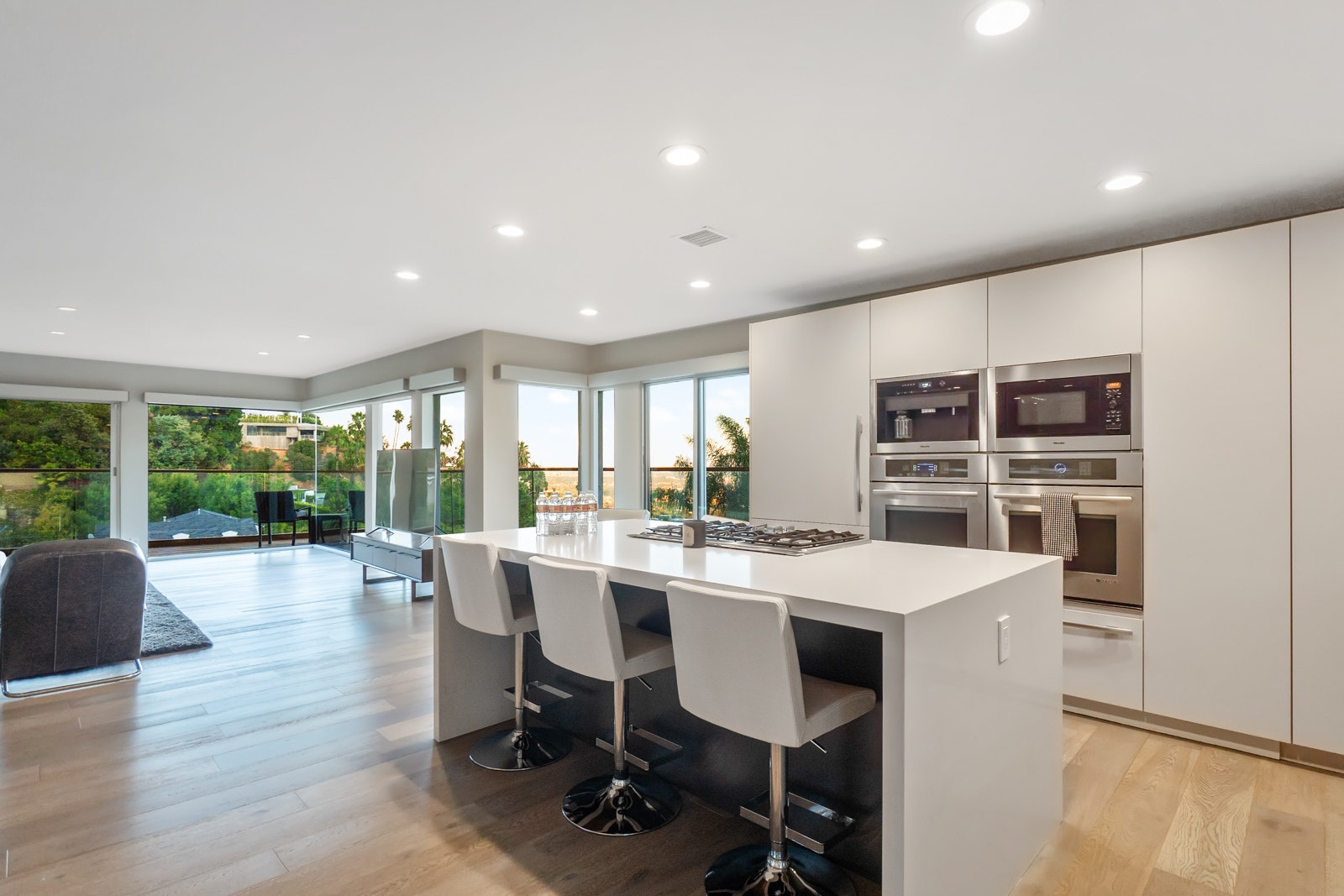 Los Angeles Home 1006389