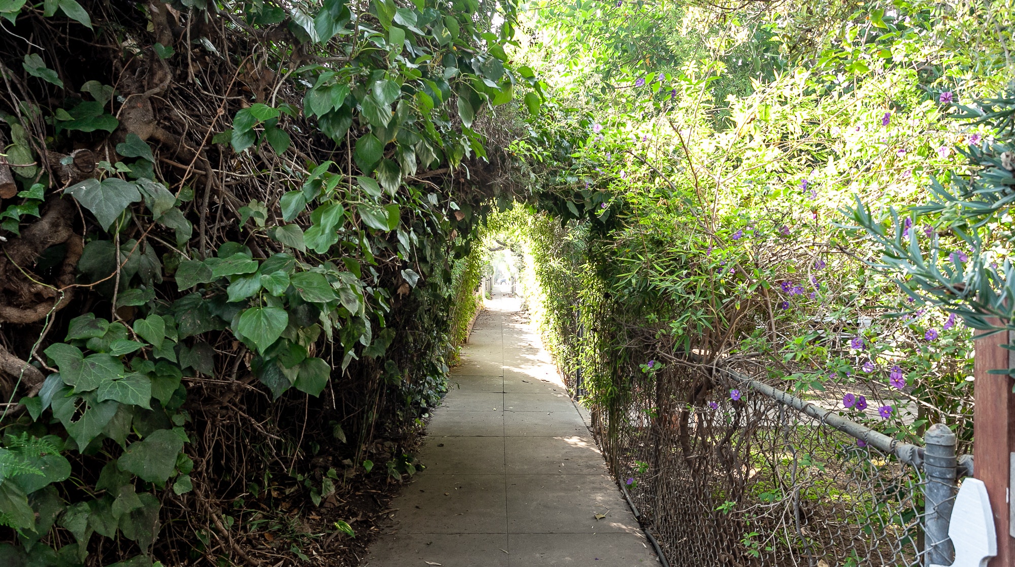 Los Angeles Home 1006390
