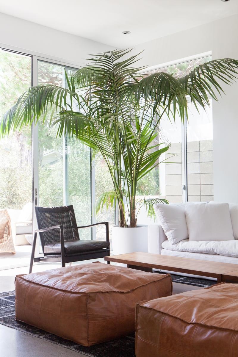 Los Angeles Home 1006400