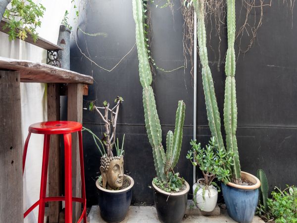 Los Angeles Home 1006403