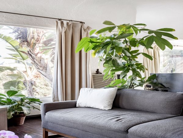 Los Angeles Home 1006424