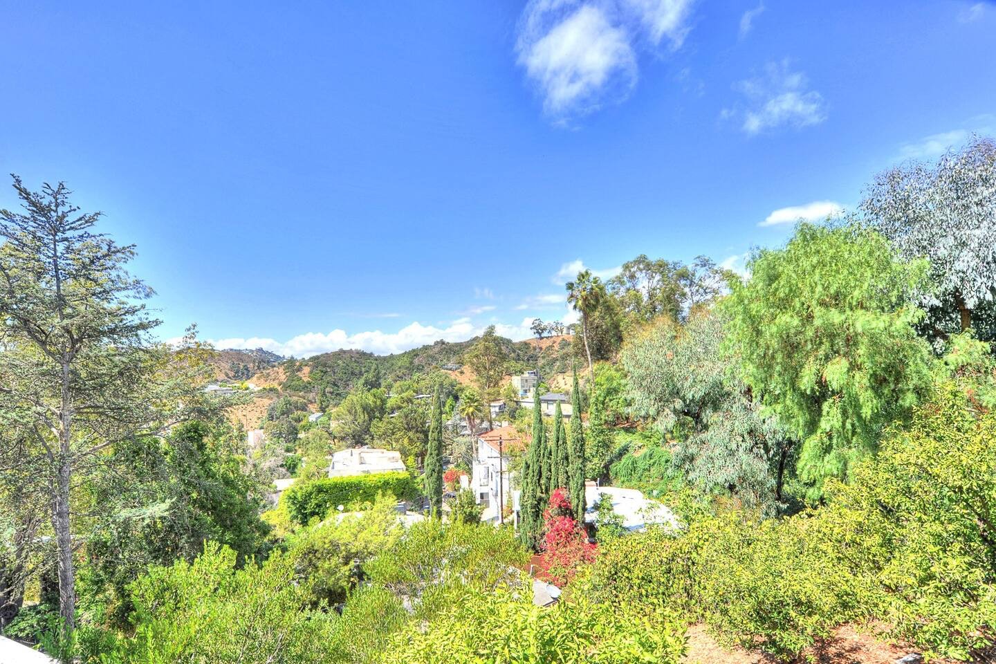 Los Angeles Home 1006437